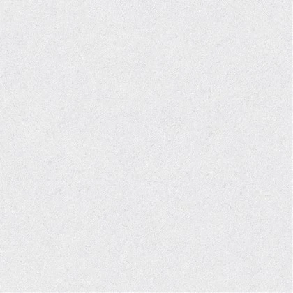 Limestone Oyster White - Weiße, matte Kalksteinfliese
